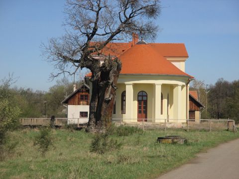Foto 50